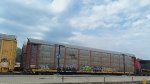 NS 22899 (Body) TTGX 980609 (Flat)